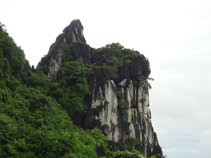 DSC09520_R.JPG