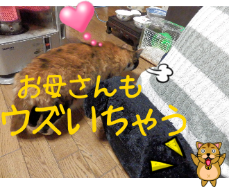 P4110025.png
