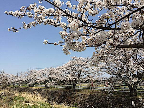 rblog-20180402193748-03.jpg