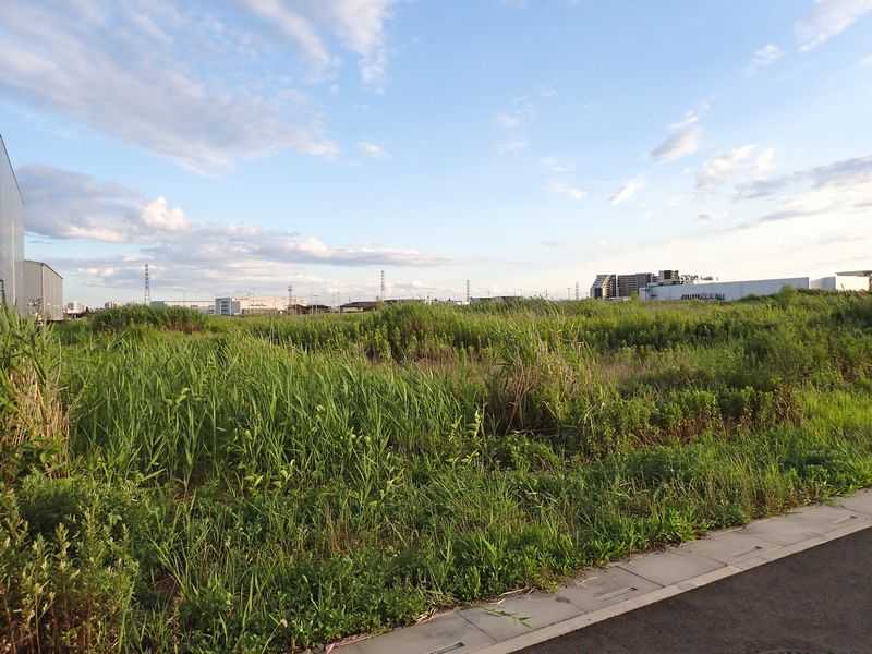 Colt Data Center Yoshikawa