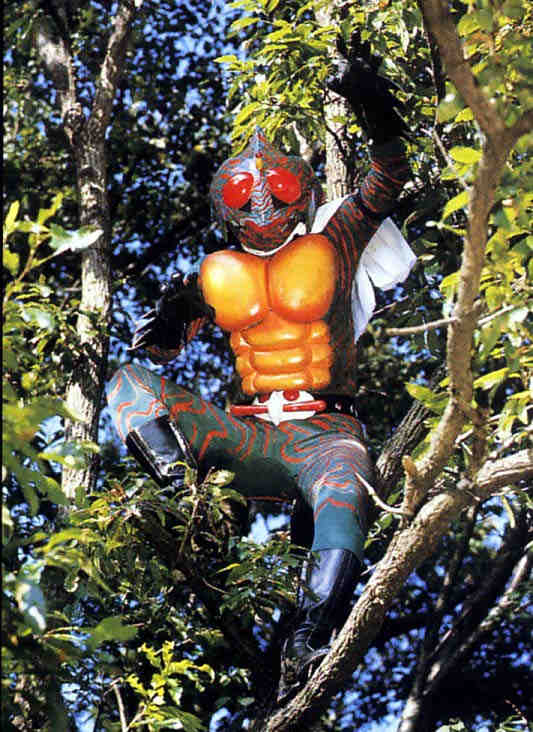 仮面ライダーアマゾンamazonrider3.jpg
