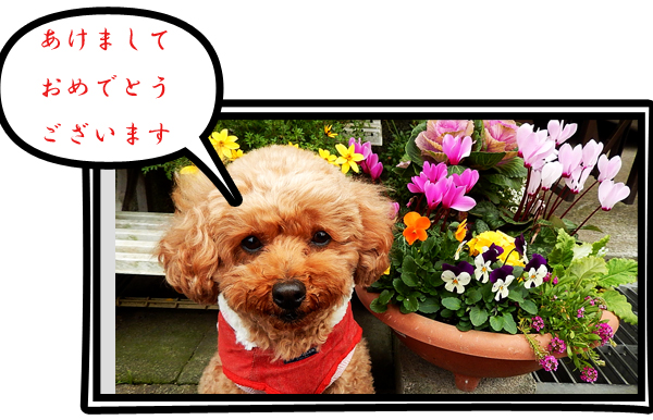 こころ１