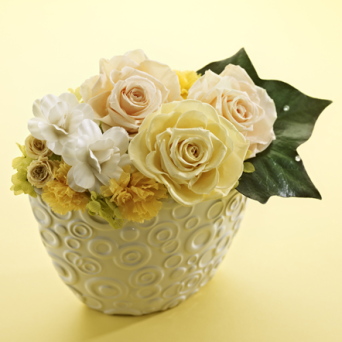 TKY201006220262.jpg