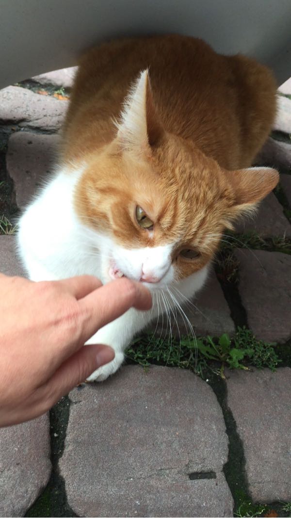 rblog-20150909224815-00.jpg