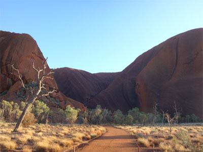 OZ888.jpg