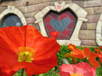 Flower7