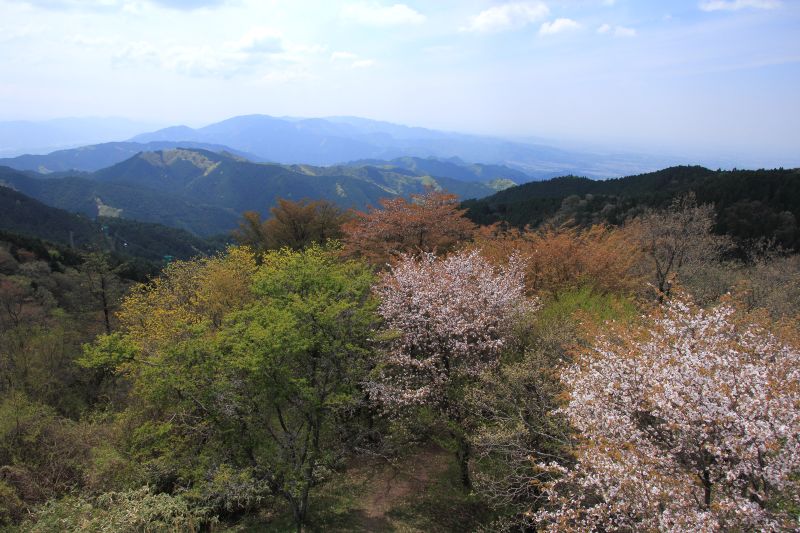 金剛山_002.jpg