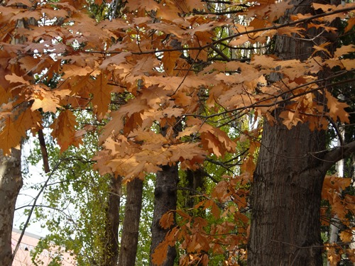 DSCN2861.JPG
