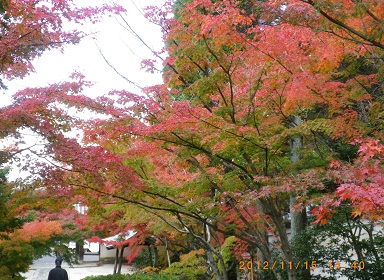 一休寺3.jpg