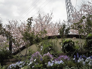 IMG_20170409_111235ss.jpg