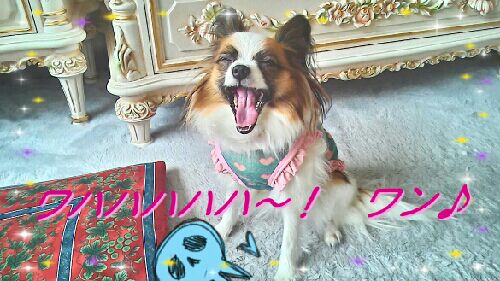 rblog-20150517204339-04.jpg