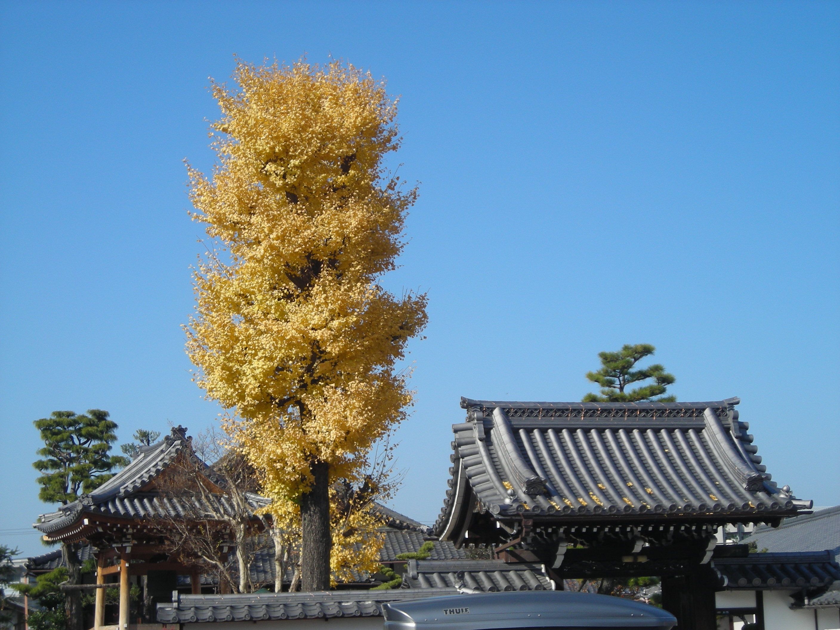 中山道てくてくトボトボ歩き旅 ベッカム隊長のてくてくトボトボ歩き旅 楽天ブログ