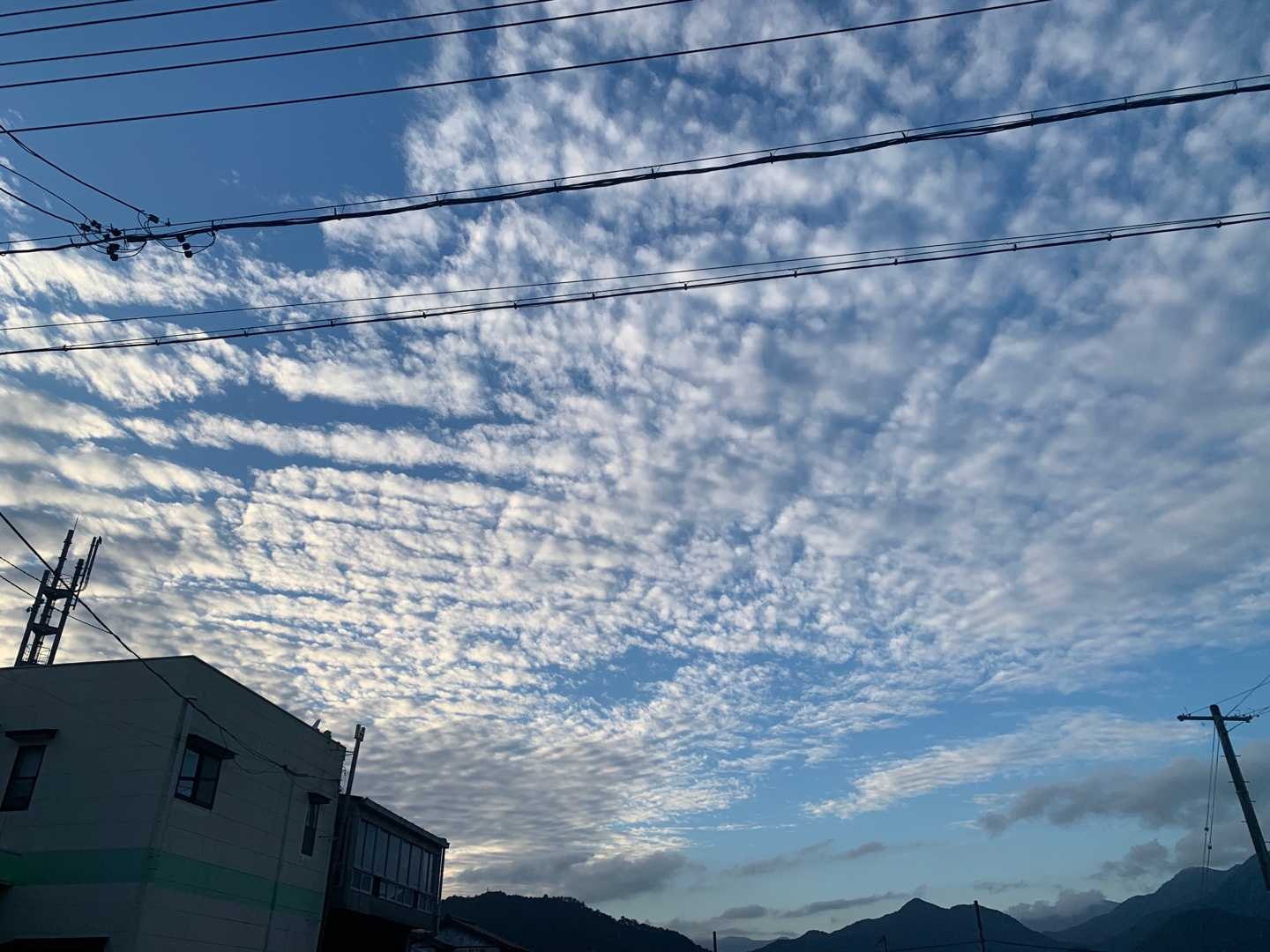 秋の夕暮れ 紀北町 のどのイガイガ 免疫力を高める漢方薬店 ドラッグ山光堂 楽天ブログ