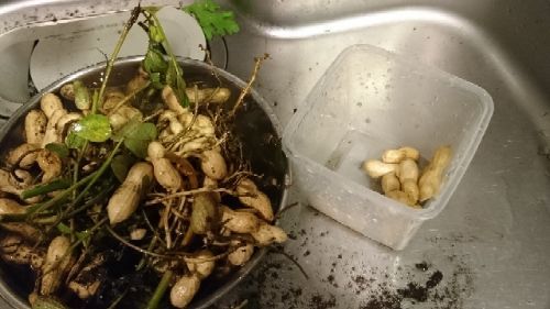 rblog-20181011222954-01.jpg