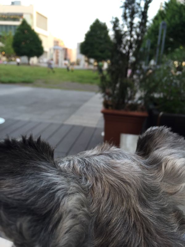 rblog-20160620003325-01.jpg