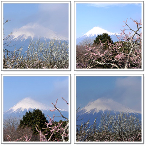 富士山４枚ー１
