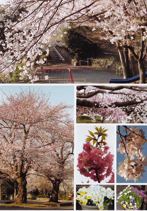 2012_3C