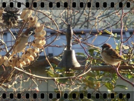 ピーナッツリース