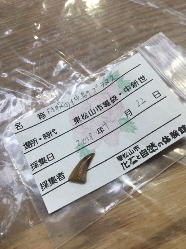 rblog-20180422170132-00.jpg