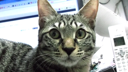 すずひめ　12月20日　アップ.jpg