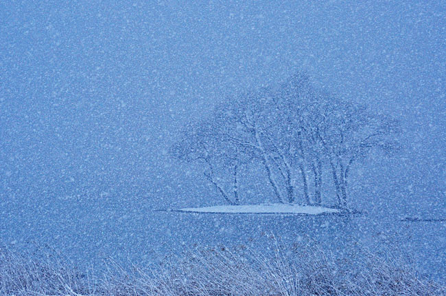 雪１
