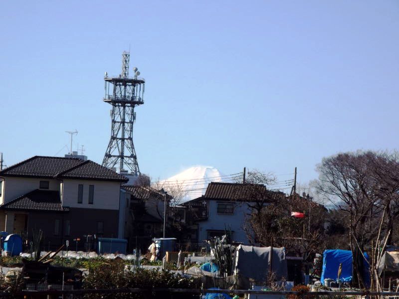 fujisan-101.JPG