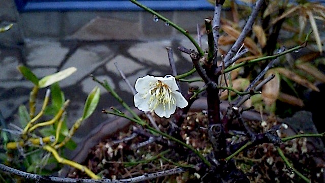 120225_130604.jpg