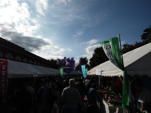 DSCF1751.JPG