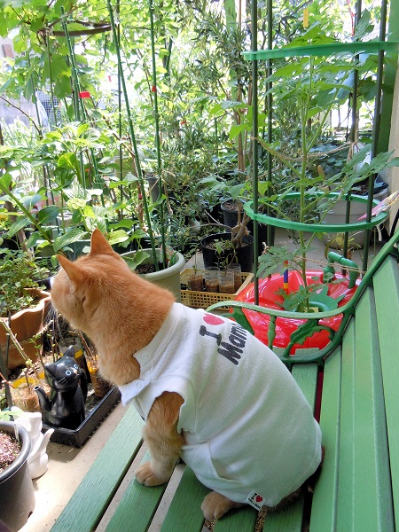 DSCN5337.JPG