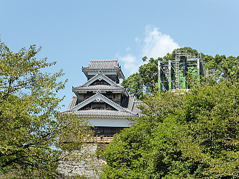 P1290711.jpg