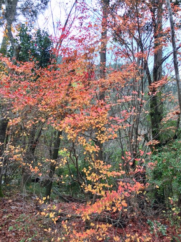 rblog-20161129090114-07.jpg