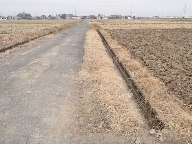 田んぼ道.JPG
