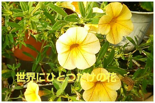 rblog-20161004203436-00.jpg