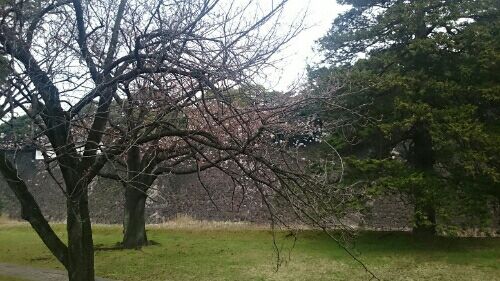 rblog-20160330143628-02.jpg
