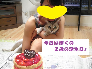 2014.08.02-2(30%).jpg