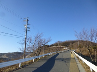 17_金生山（登り道）.JPG