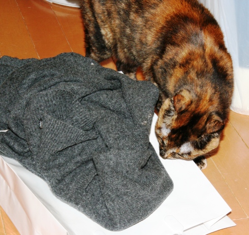 20140208ｻｺ01.jpg