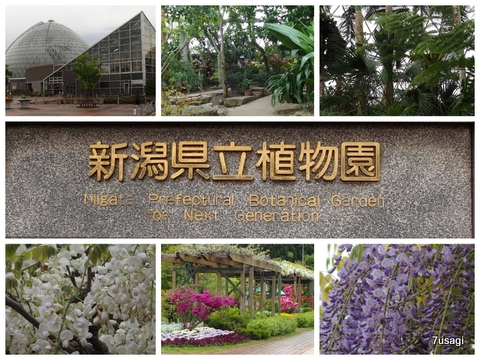 Collage_Fotor-033.jpg
