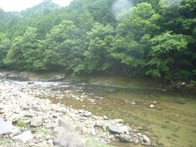 resize0020.jpg