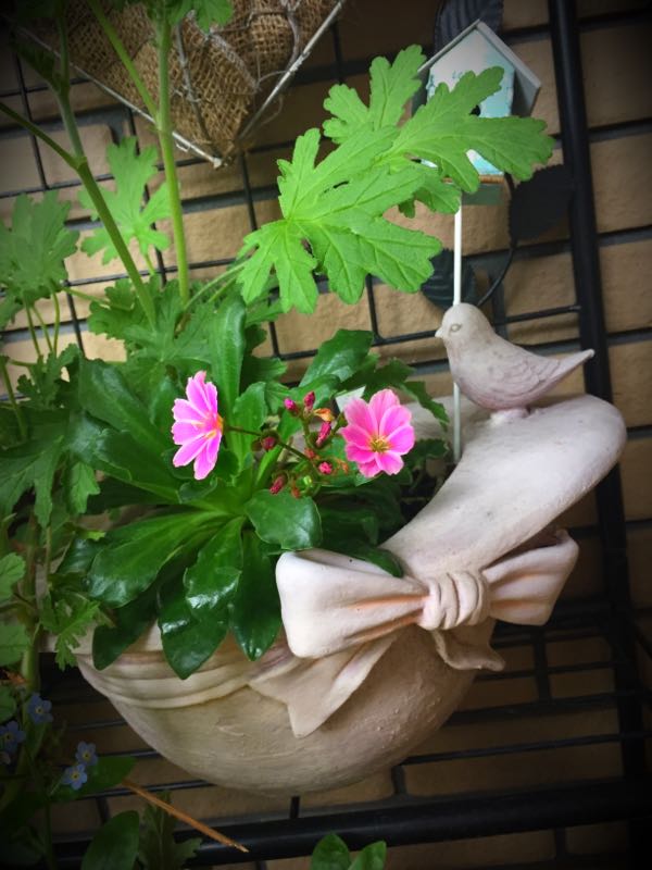 rblog-20160427175718-04.jpg