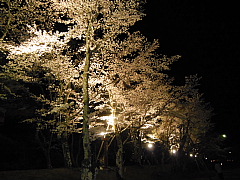conv0108.JPG