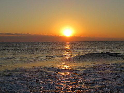 IMG_0875.jpg