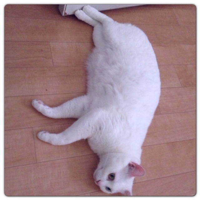 rblog-20130524104958-00.jpg