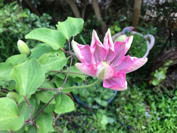 rblog-20190423182704-02.jpg