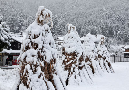 20160228（美山2）.jpg