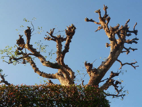 P1120980(1).JPG