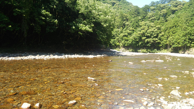 resize0017.jpg