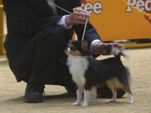 IMG_1535 - コピー.JPG