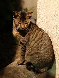 5DA_8910-4.jpg