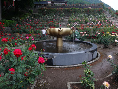 萬国屋142.jpg